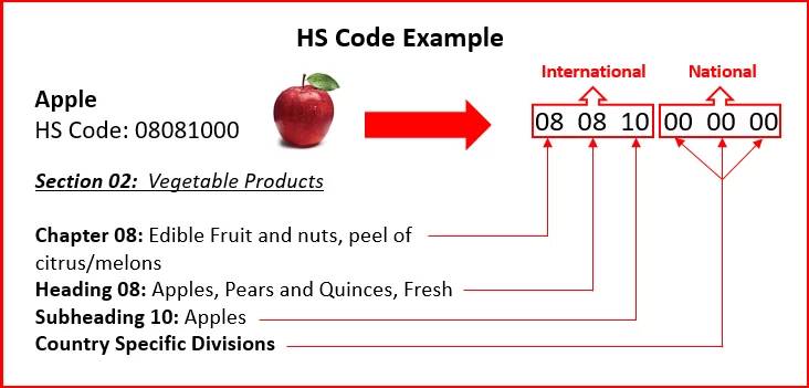 ทำไมชื่อสินค้าอย่างเดียวจึงไม่พอสำหรับพิจารณา HS Code